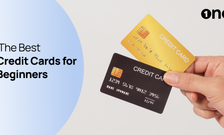  Best Credit Cards for Beginners With No Annual Fee